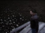 I'm not Alone