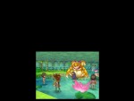 Dragon Quest IX: Sentinels o/t Starry Skies