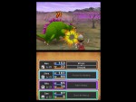 Dragon Quest IX: Sentinels o/t Starry Skies