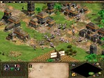 Age of Empires 2: The Conquerors