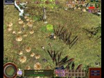 Hinterland: Orc Lords