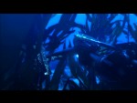 Tomb Raider: Underworld