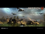 Section 8