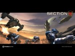 Section 8